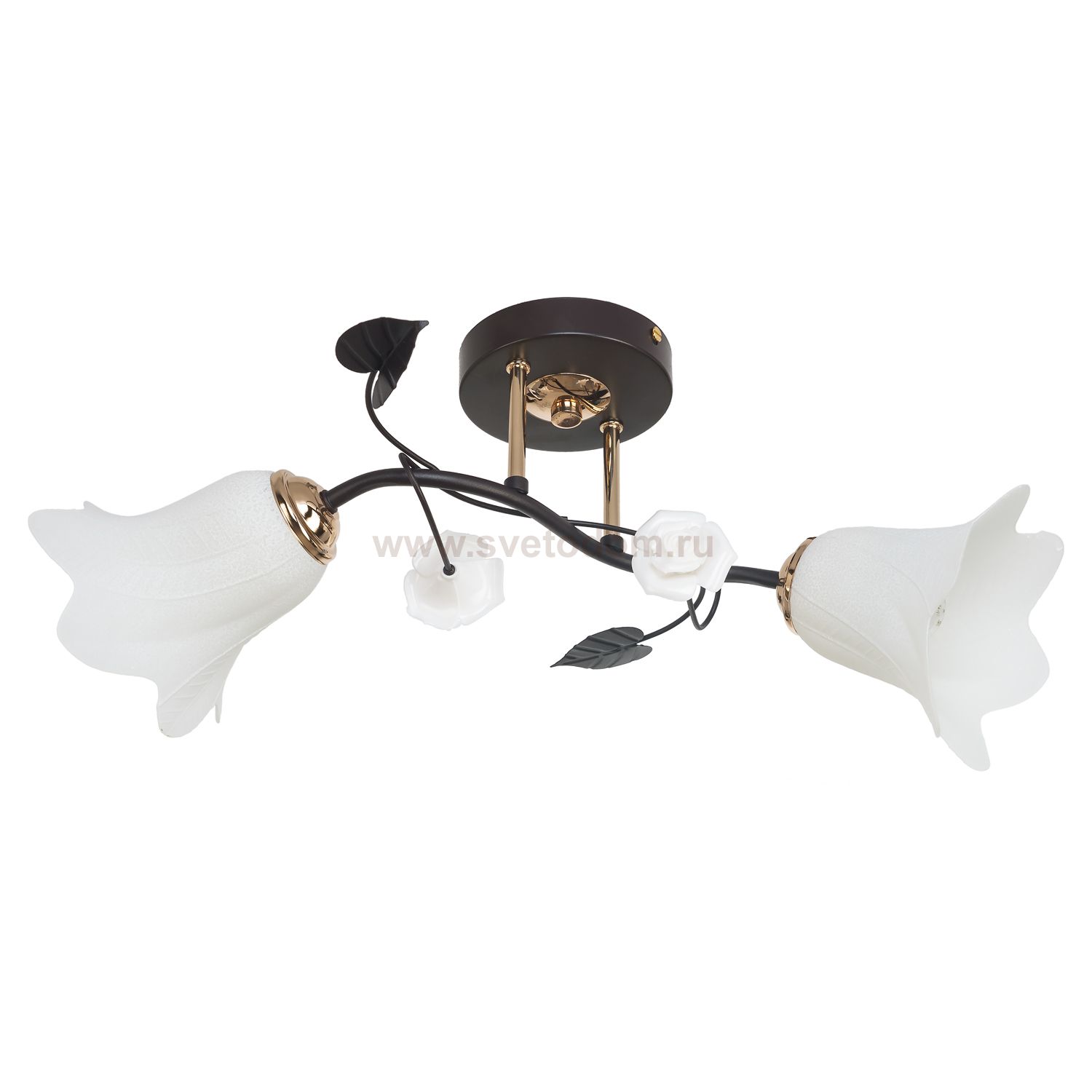 Потолочный светильник Экономсвет 7319/2BK+GD WT