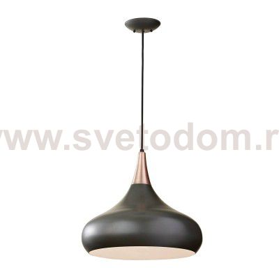 Подвесной светильник Natural concept FE/BESO/P/L DBZ BESO