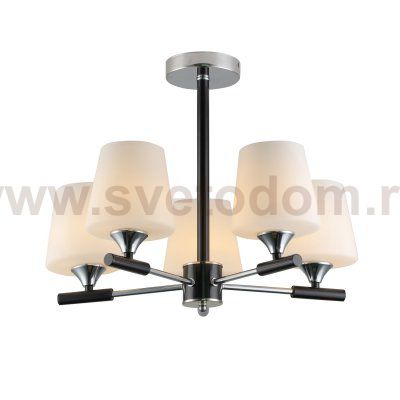 Светильник классический 74219/5CR+BK WT Экономсвет