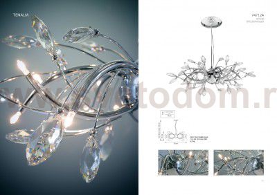 Люстра подвесная Lightstar 747124 Tenalia
