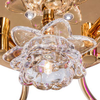 Потолочный светильник Экономсвет 7475/10FG RC WTPURLED