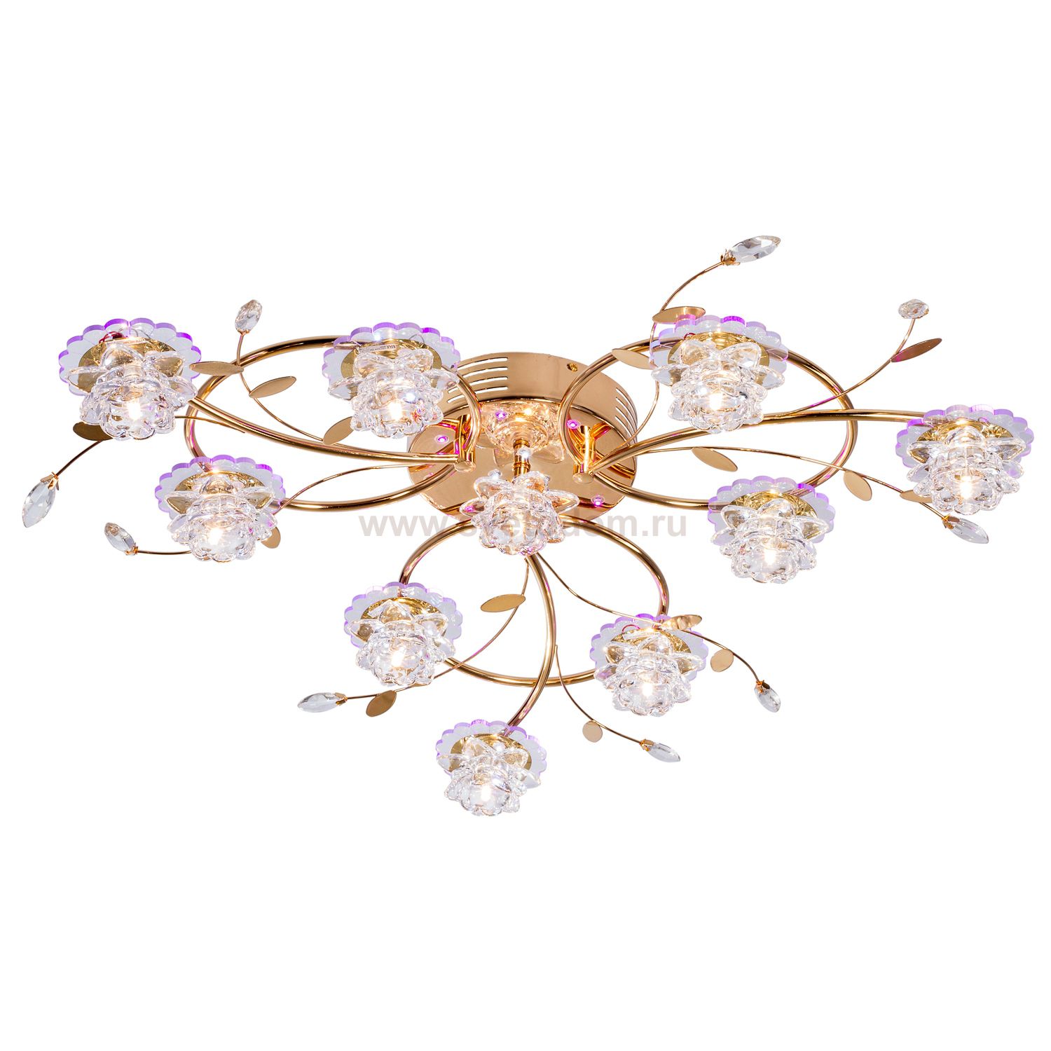 Потолочный светильник Экономсвет 7475/10FG RC WTPURLED