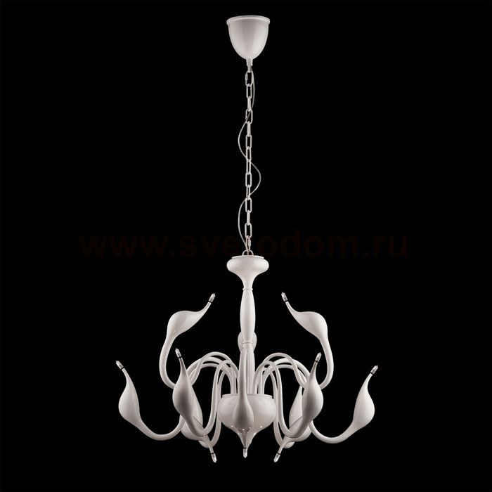 Люстра подвесная Lightstar 751126 Cigno Collo