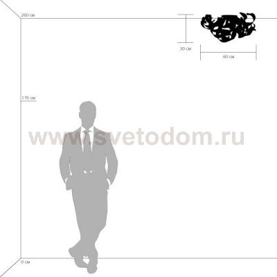 Люстра потолочная Lightstar 754068 Turbio