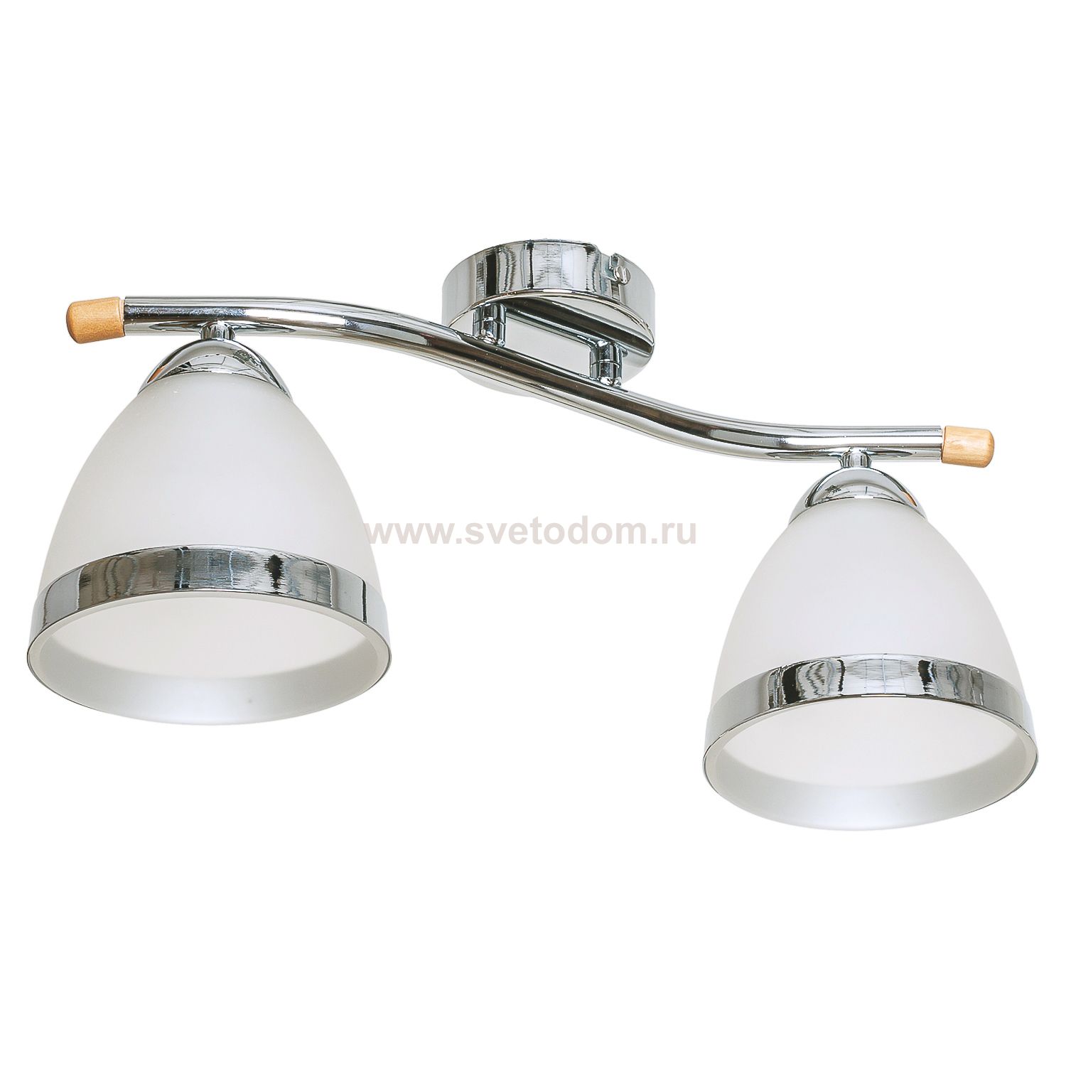 Потолочный светильник Экономсвет 76930/2CR WT