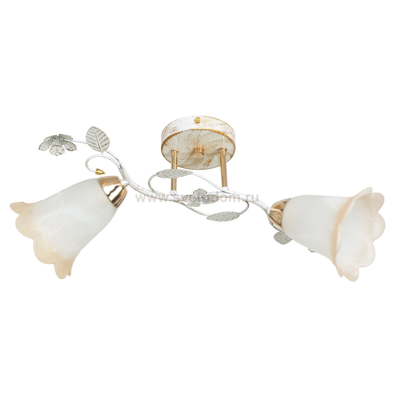 Светильник ЭкономСвет 7838/2FGD+WT WT+BR