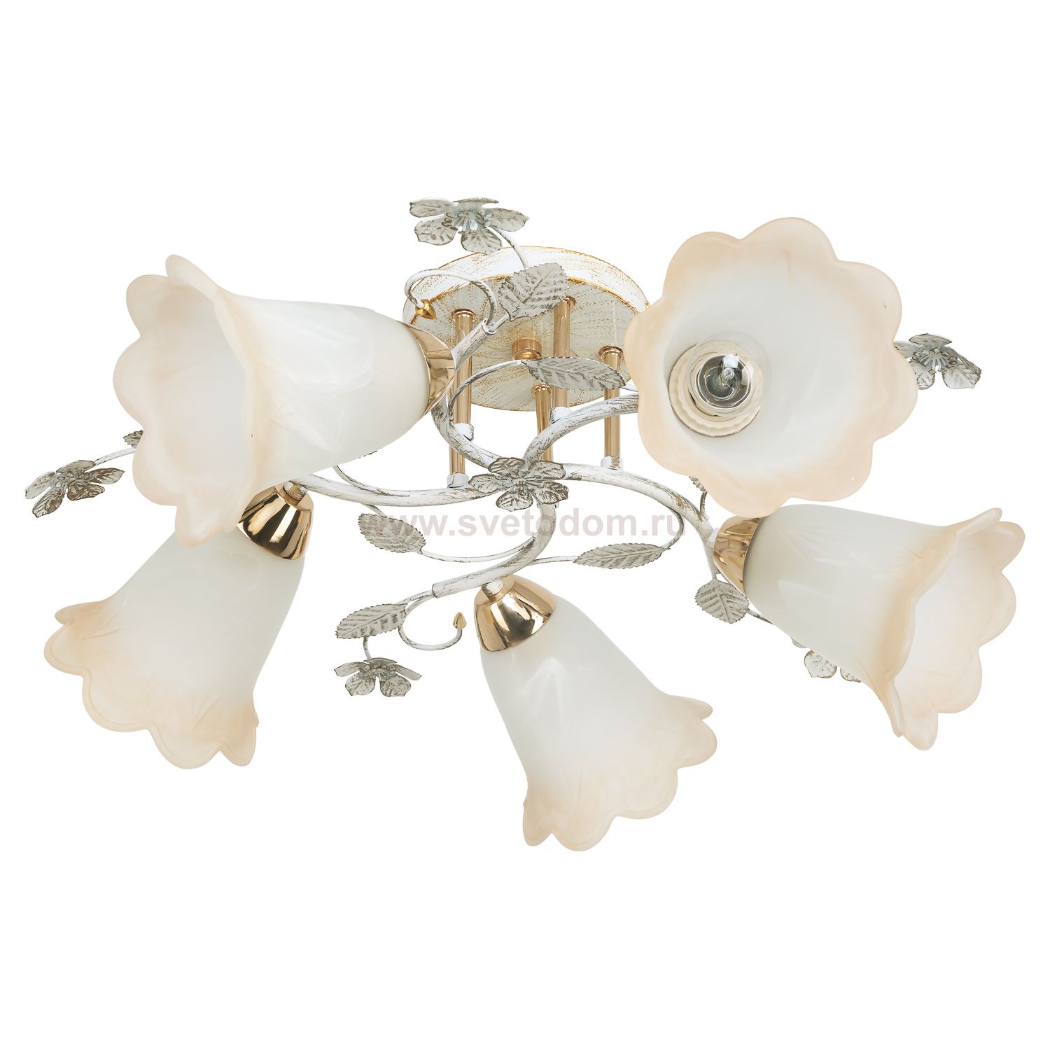 Потолочный светильник Экономсвет 7838/5FGD+WT WT+BR