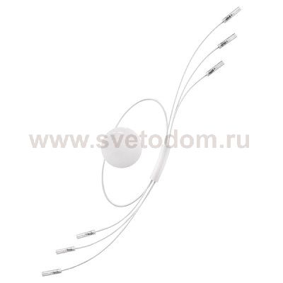 Светильник бра Lightstar 784666 Ovale