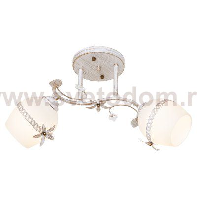 Потолочный светильник Экономсвет 7866/2WG WT+WG