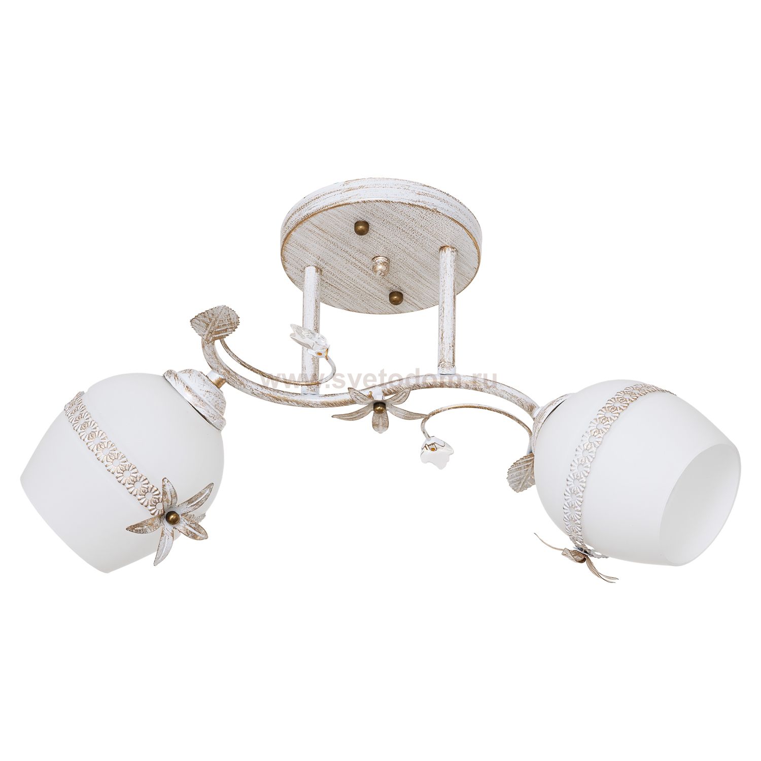 Потолочный светильник Экономсвет 7866/2WG WT+WG