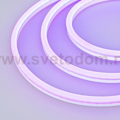 Образец Гибкий неон GALAXY-1608-5000CFS-2835-100 12V Purple 0.5M (16x8mm, 12W, IP67) Arlight 30976