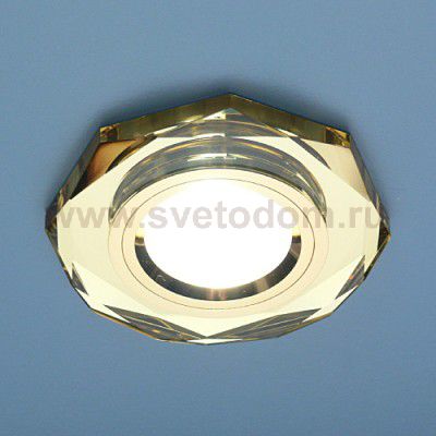 Точечный светильник Elektrostandard 8020/2 YL/GD (зеркальный / золотой)