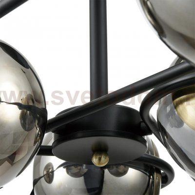 Люстра потолочная Lumion 8060/6C CAMILIE