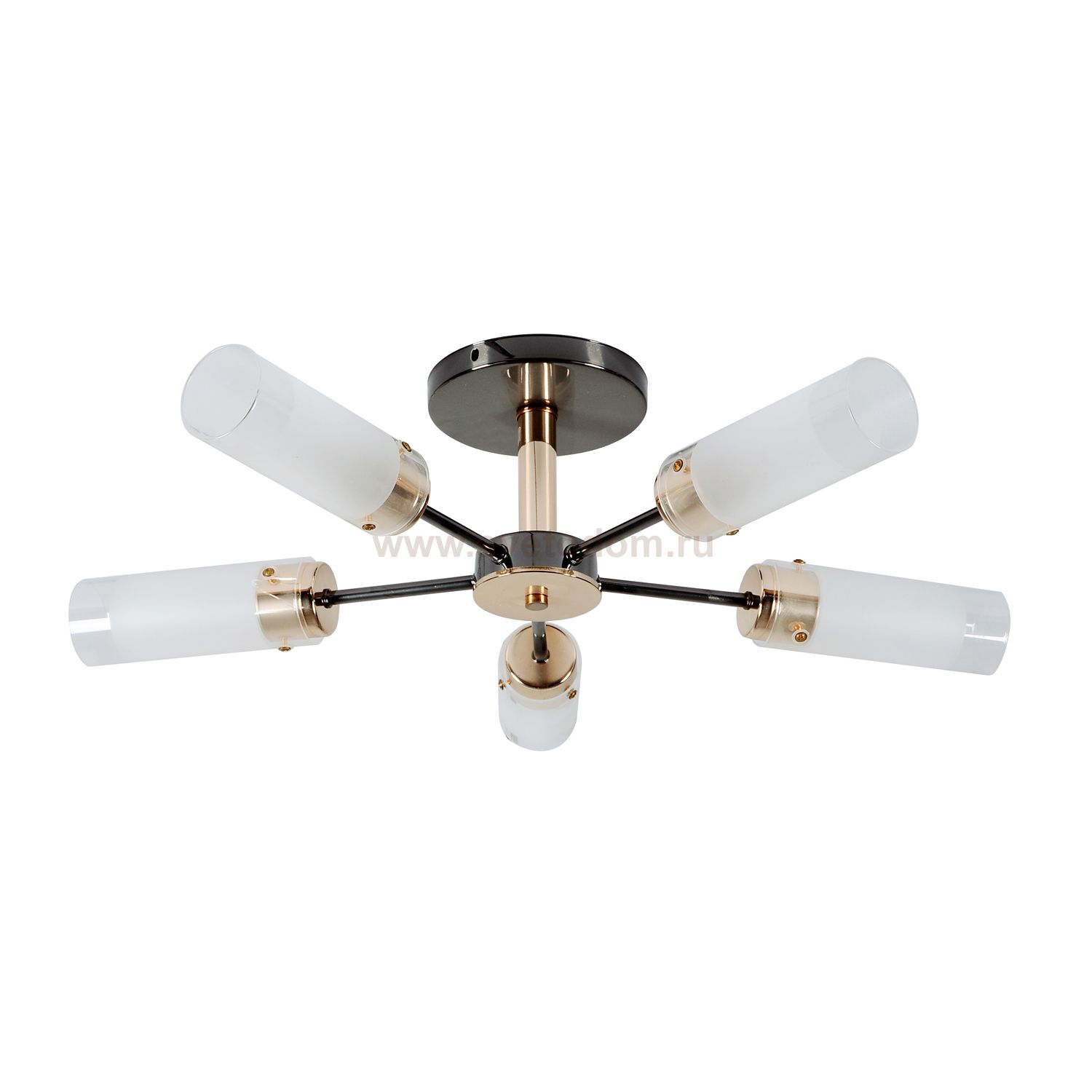 Люстра современная Экономсвет 80867/5BK+FGD WT