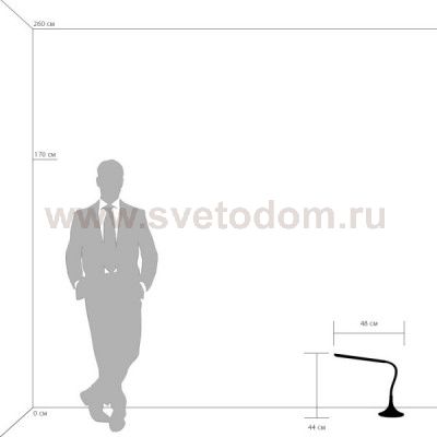 Настольная лампа Lightstar 808917 Muro