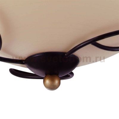 Светильник Colosseo 80929/2C