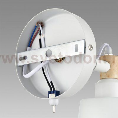 Светильник настенный бра Lumion 8097/1W ROSALINA