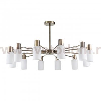 Люстра потолочная Lumion 8100/12C MAVE
