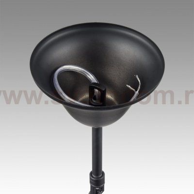 Люстра Lumion 8106/6 NANA