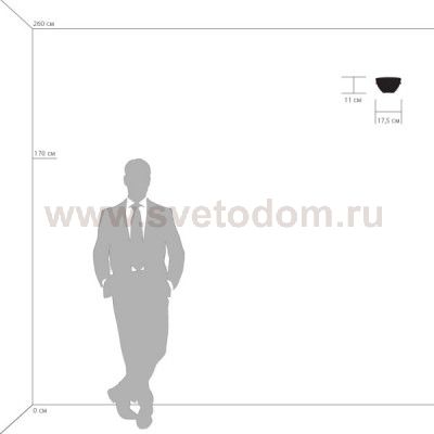 Светильник бра Lightstar 810813 Agola