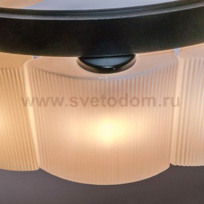 Люстра подвесная Lightstar 812186 Nibbler