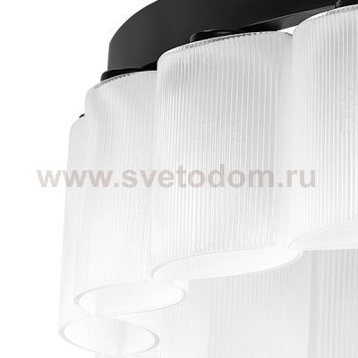 Люстра подвесная Lightstar 812236 Nibbler