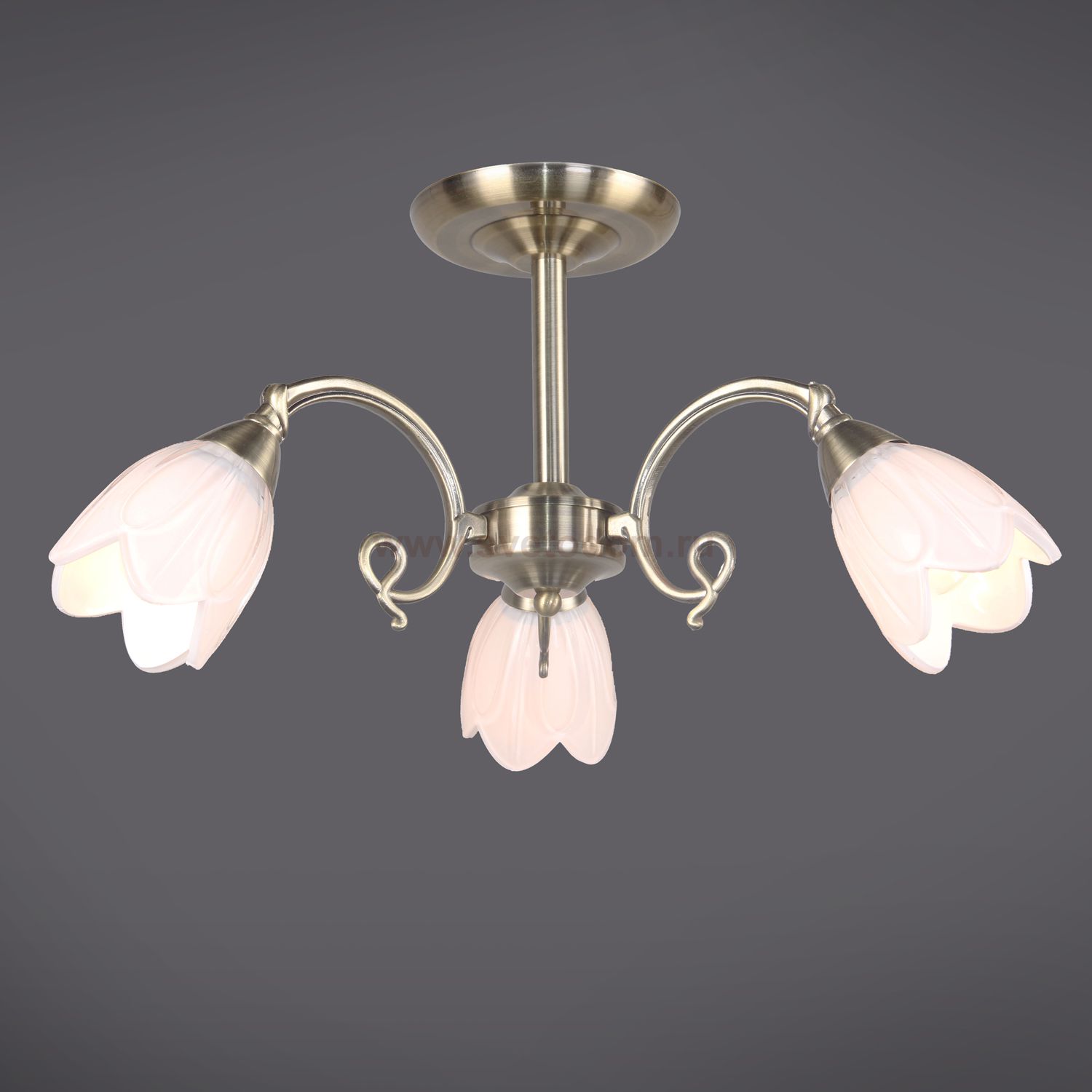 Светильник Colosseo 81637/3C optima