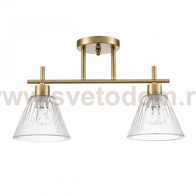 Потолочный светильник Lumion 8188/2C VIVIAN