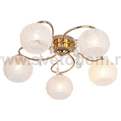 Люстра современная Экономсвет 818EM/5