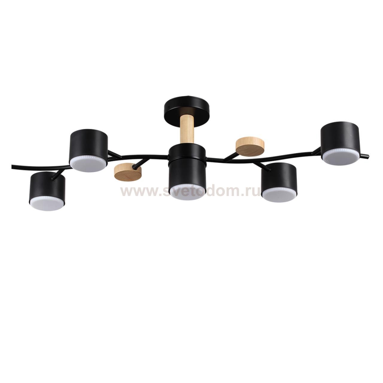 Потолочный светильник Lumion 8194/5C CRYPTO