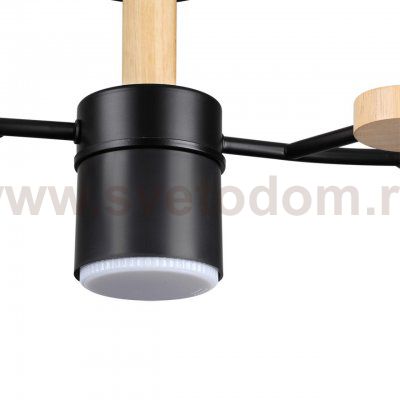 Потолочный светильник Lumion 8194/5C CRYPTO