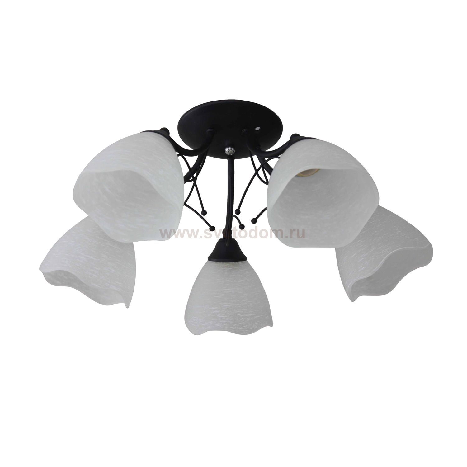 Люстра потолочная Colosseo 82185/5C