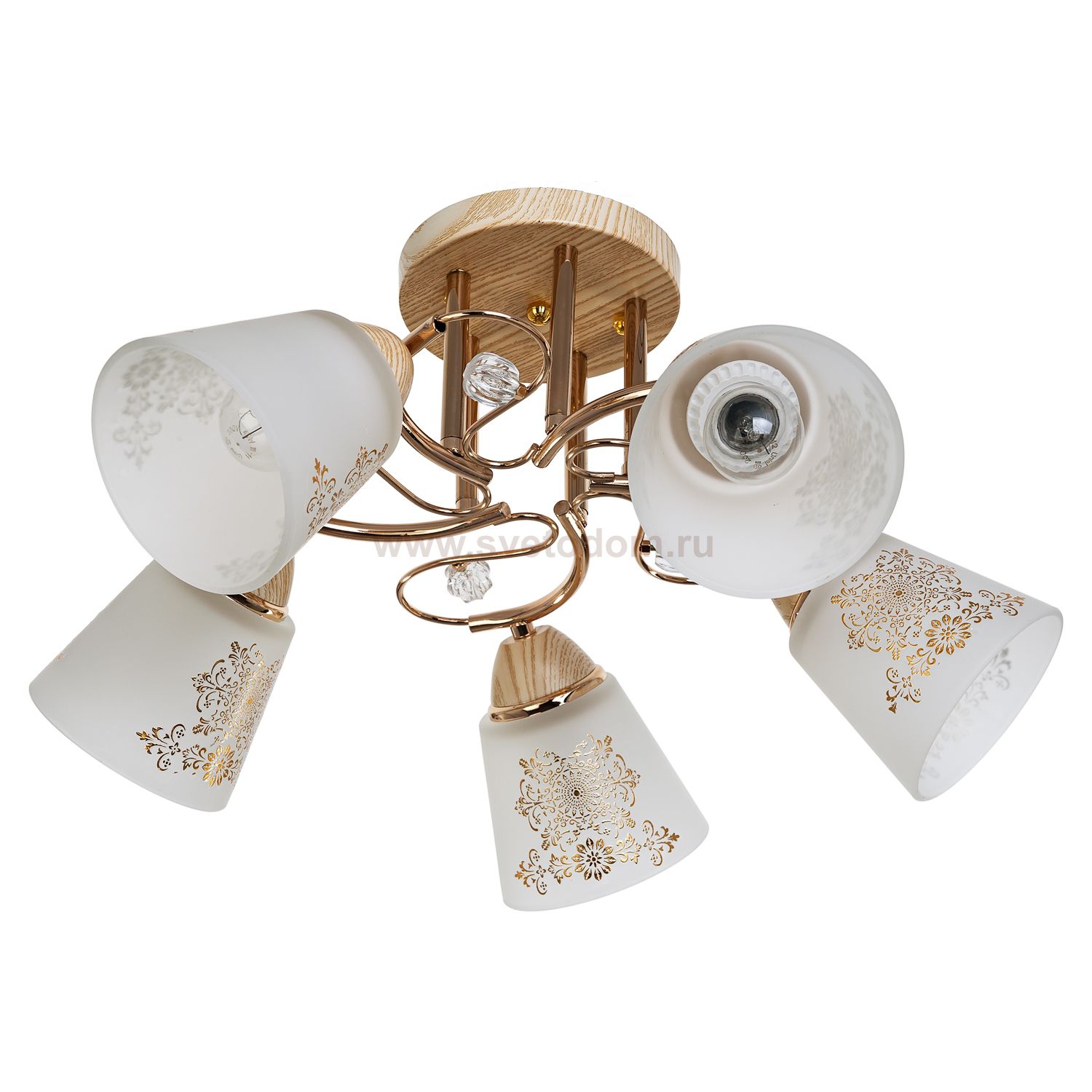 Светильник ЭкономСвет 822EM/5