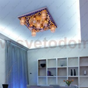 Потолочный светильник Экономсвет 8264/5+4WT+GD RC WT LED