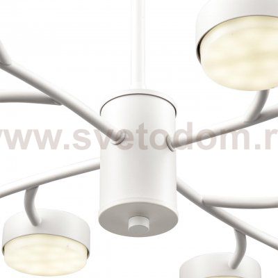 Люстра на штанге Odeon light 8265/12 TORINA