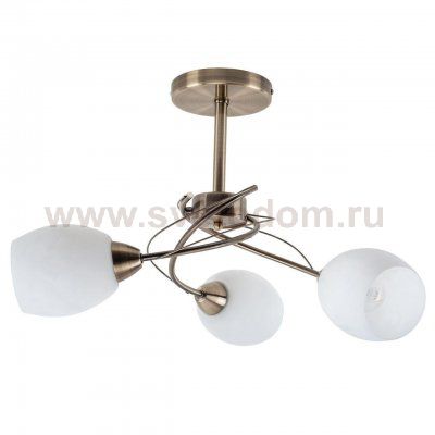 Потолочная люстра Spot Light Pisa 8280311
