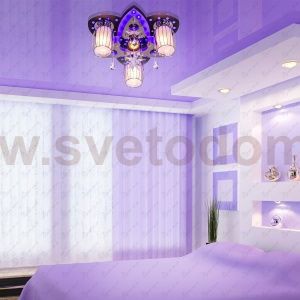 Потолочный светильник Экономсвет 8282/3+1BK+CR RC MIXLED