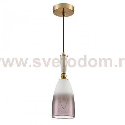Подвесной одиночный светильник Lumion 8285/1A DERBI