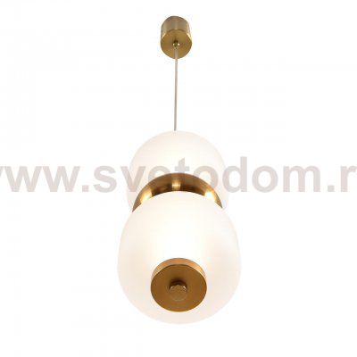 Подвесной одиночный светильник Lumion 8324/20L TAISHA
