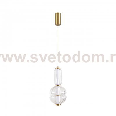 Подвесной одиночный светильник Lumion 8325/28L TAISHA