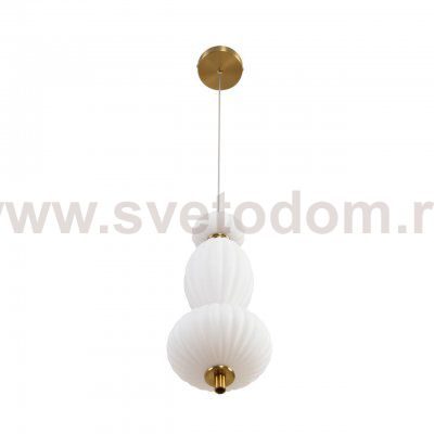 Подвесной одиночный светильник Lumion 8369/15L LIALDA