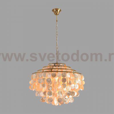 Люстры на цепи Lumion 8386/6 SHELLA