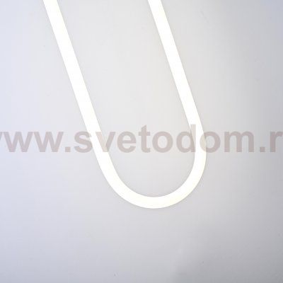 Подвесной светильник Rudi Loop ImperiumLoft 85400-22