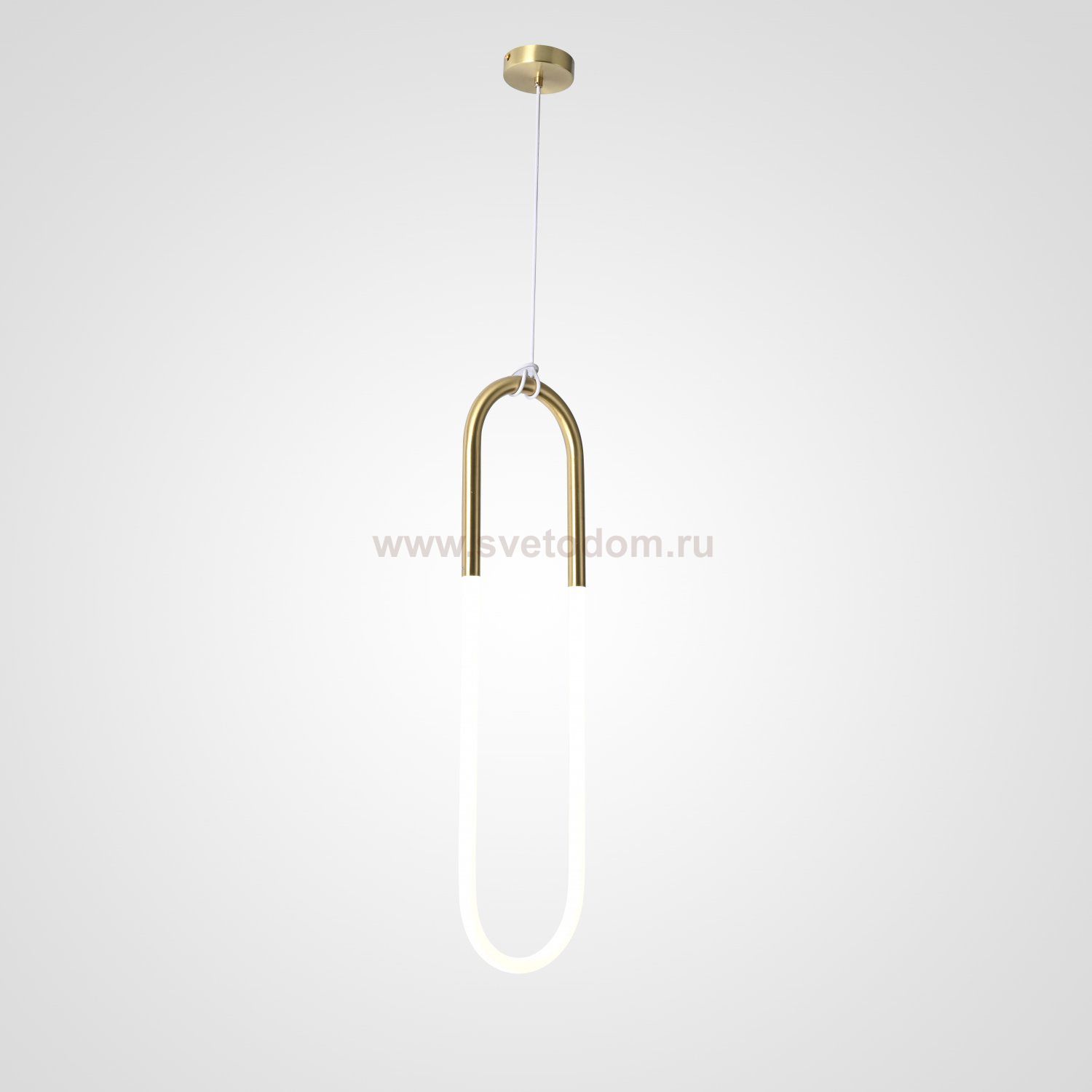 Подвесной светильник Rudi Loop ImperiumLoft 85400-22