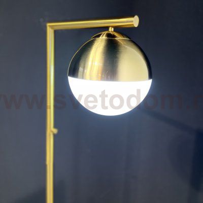 Торшер Geneva Single Glass Globe Floor Lamp ImperiumLoft 85499-22