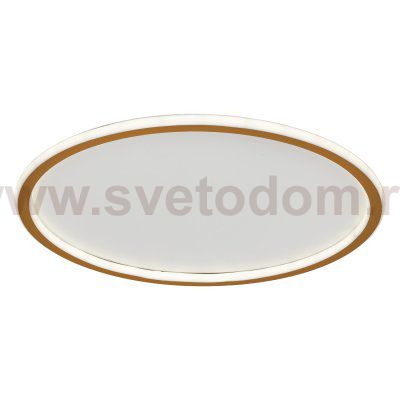 Потолочный светодиодный светильник 88008/50GD Экономсвет