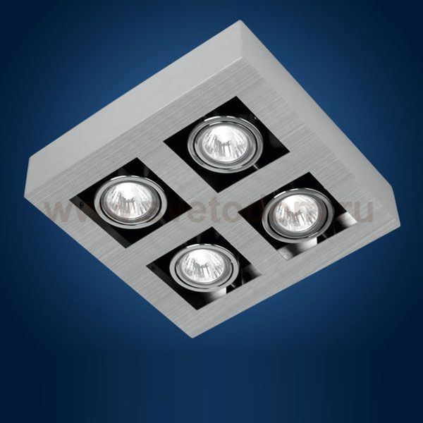 Светильник спот Eglo 89079 LOKE