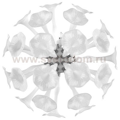 Светильник настенный Lightstar 891656 Bardano