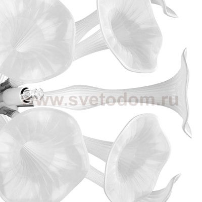 Светильник настенный Lightstar 891656 Bardano