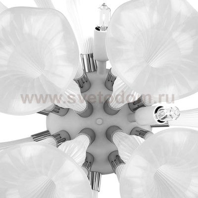 Светильник настенный Lightstar 891656 Bardano